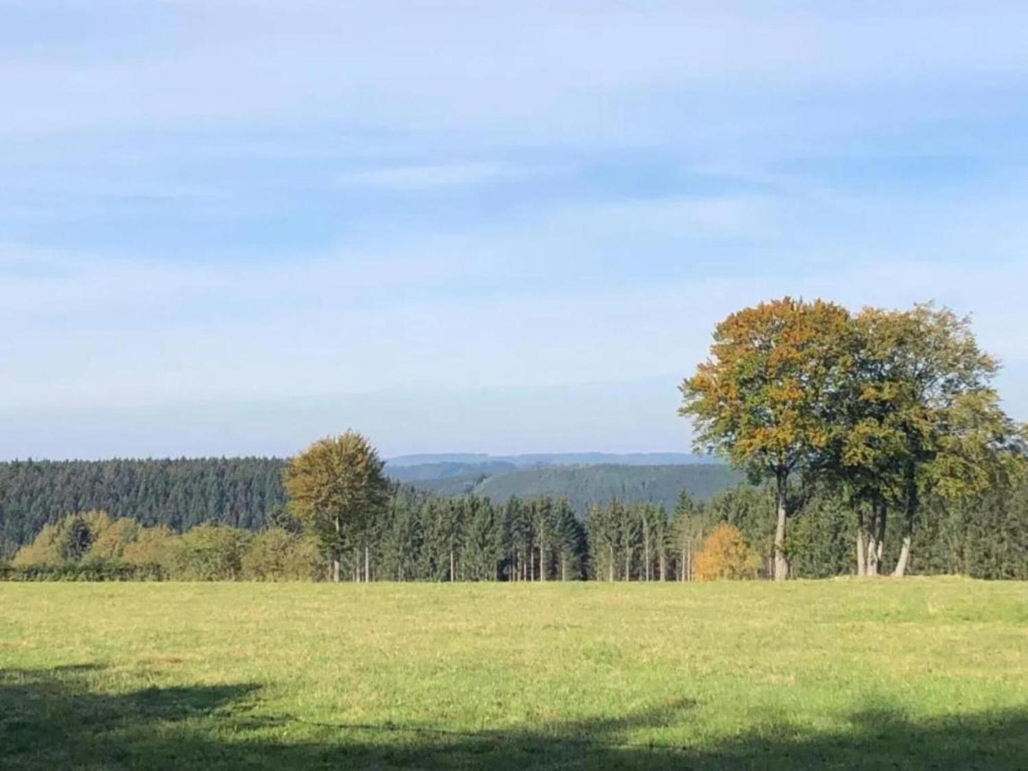 Beautiful Villa With Heated Outdoor Pool Manhay Eksteriør billede